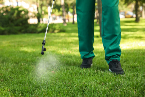 Best Mosquito Control Services  in Sharpsville, PA