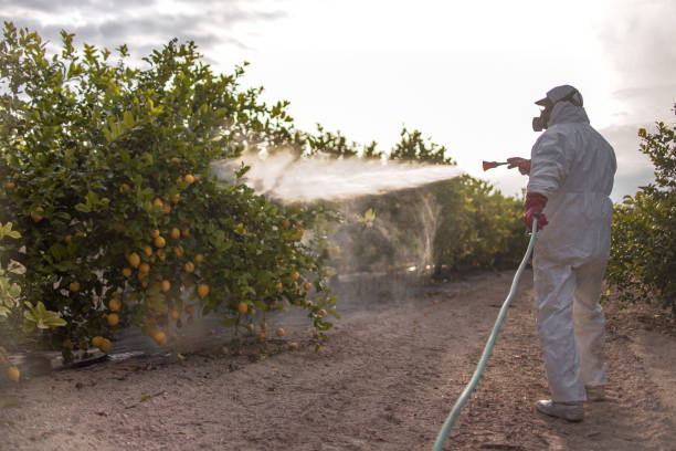 Best Affordable Pest Control Services  in Sharpsville, PA