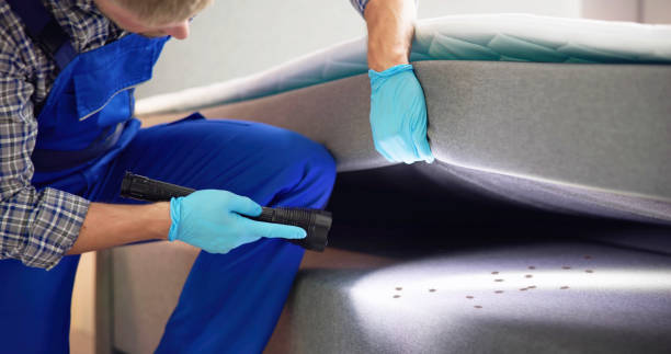 Professional Pest Control in Sharpsville, PA