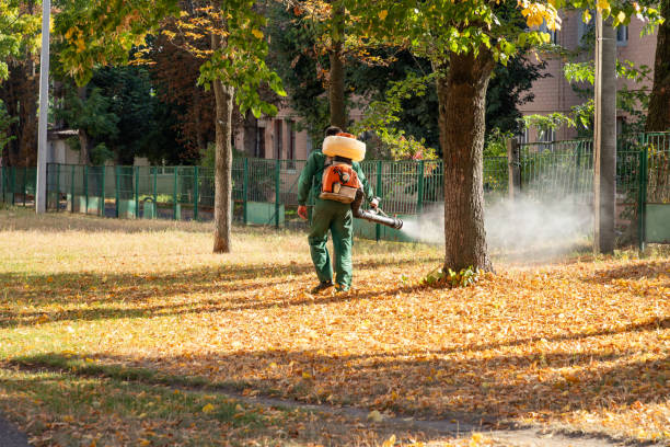 Best Bird Control  in Sharpsville, PA