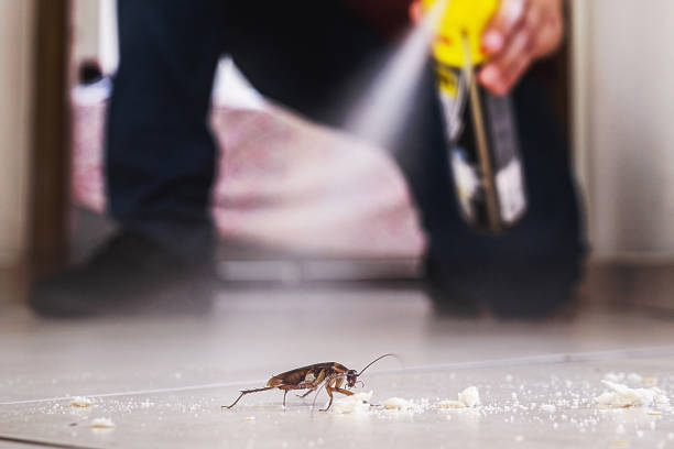 Best Insect Control  in Sharpsville, PA